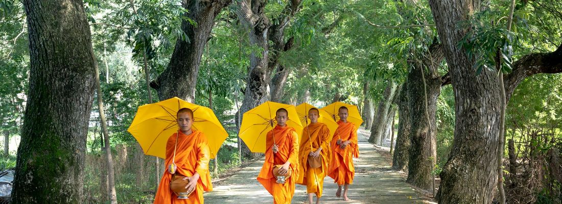Serene landscape with a path symbolizing a journey of mindfulness.